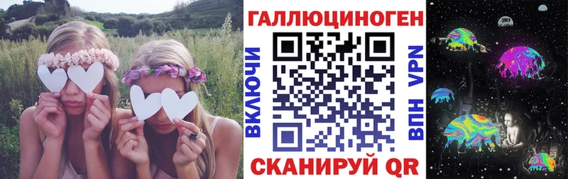 Псилоцибиновые грибы Cubensis Сусуман